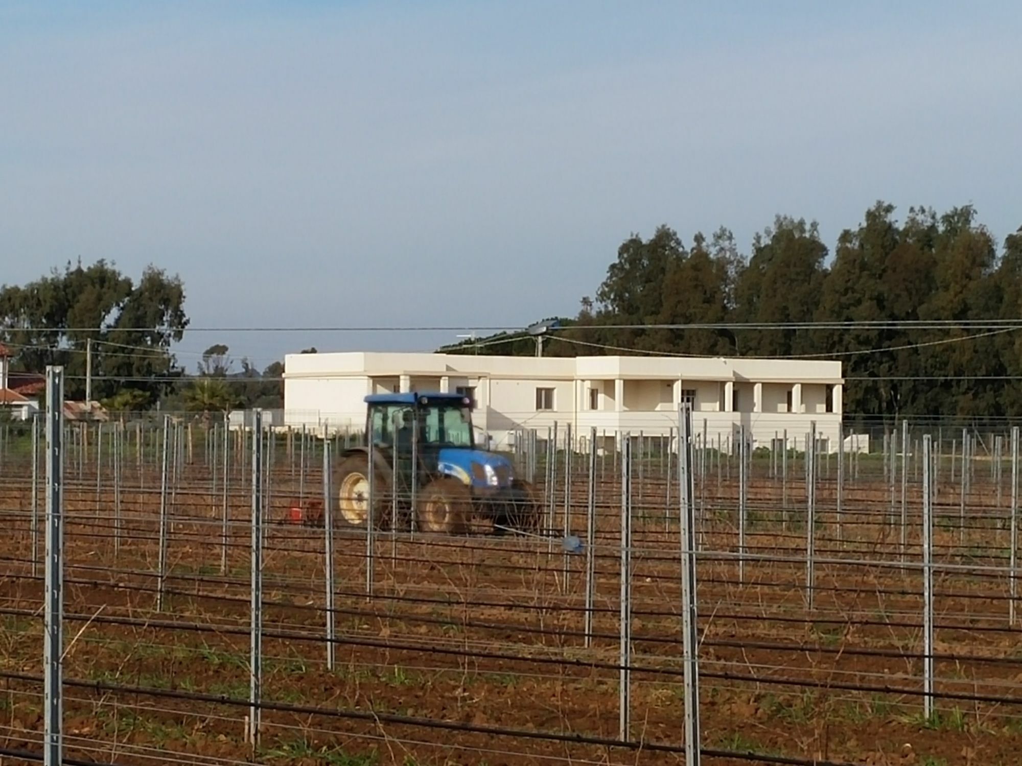 Villa Maris Alghero Exterior foto